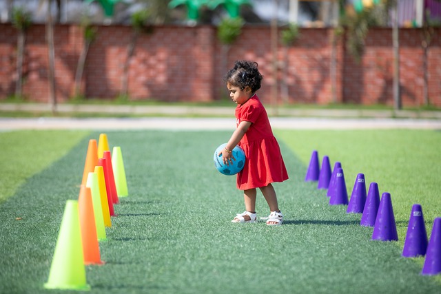 入与本土发 入与本土发