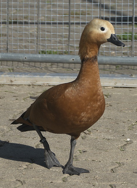 这些措施都