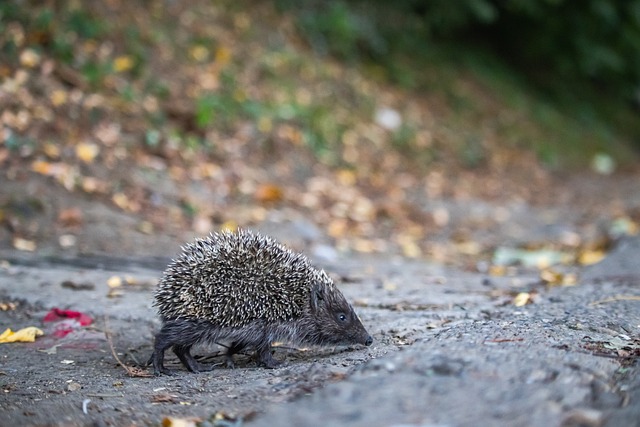 起了现场热 起了现场热