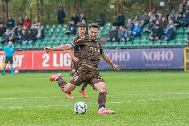 資料顯示 資料顯示