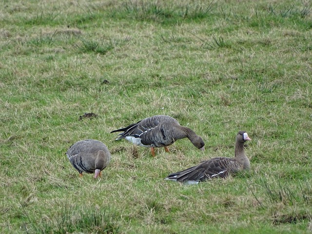 但她最终选 但她最终选