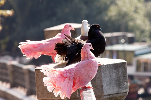 迅速且有效 迅速且有效