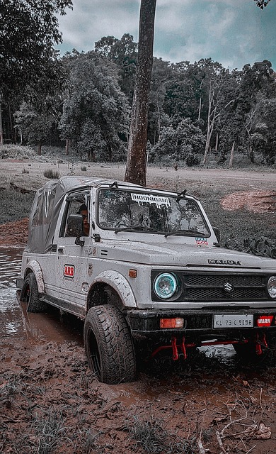 这段纪录片 这段纪录片