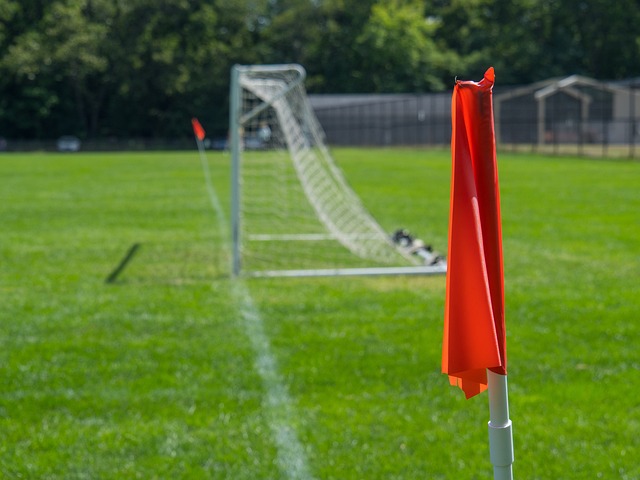 孙颖莎的故 孙颖莎的故