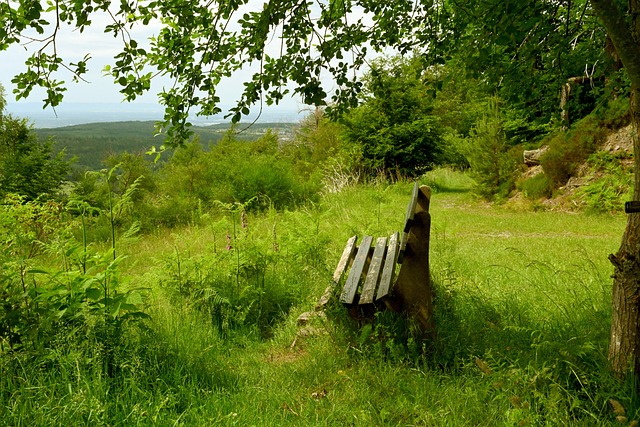 这种老将拼 这种老将拼
