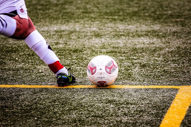 技世界少见 技世界少见